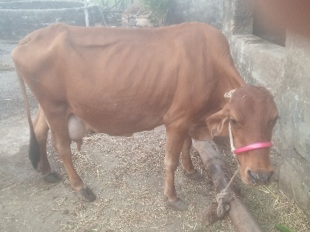 थंबनेल 2