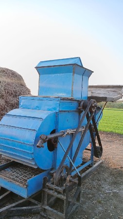 વેસાવા નુ છે