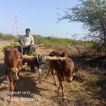 थंबनेल 3