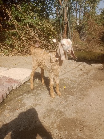 थंबनेल 3