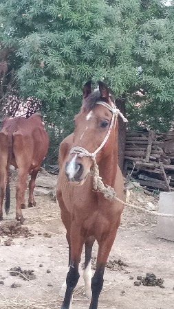 थंबनेल 3