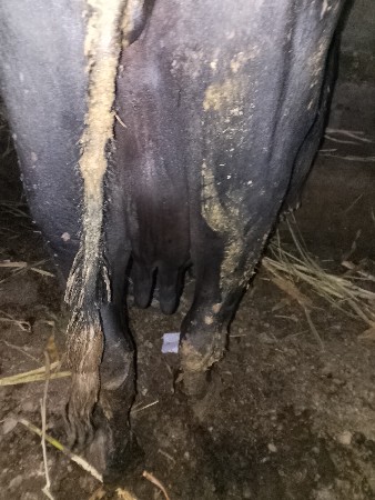 थंबनेल 2