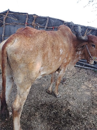 थंबनेल 2