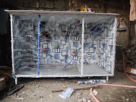 થંબનેલ 3