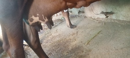 थंबनेल 3