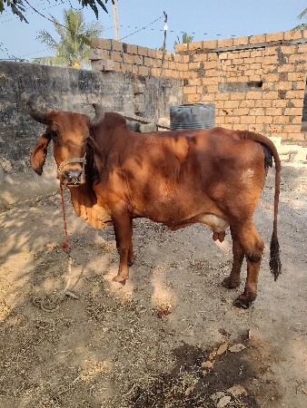 थंबनेल 2