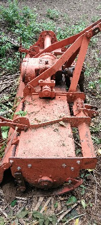 થંબનેલ 2