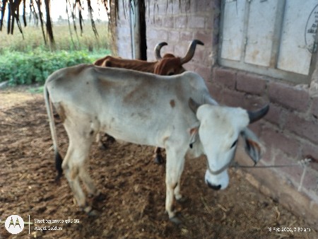 थंबनेल 3