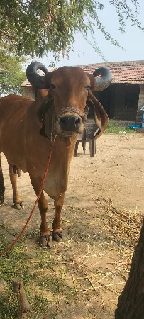 थंबनेल 3