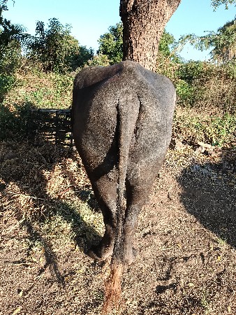 थंबनेल 3