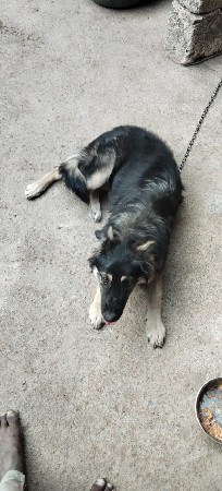 થંબનેલ 2