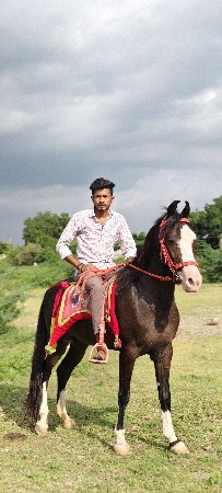 થંબનેલ 3