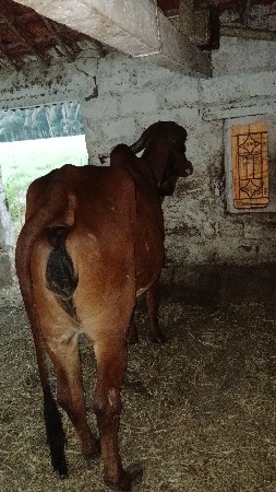 थंबनेल 2