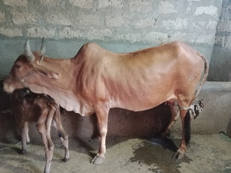 થંબનેલ 3