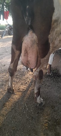 थंबनेल 2