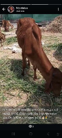 થંબનેલ 3