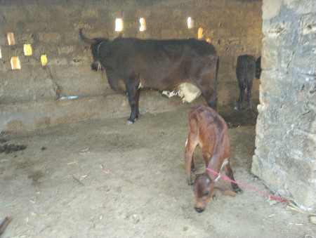 थंबनेल 3