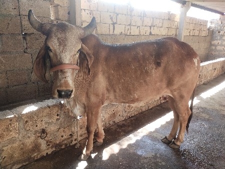 थंबनेल 3