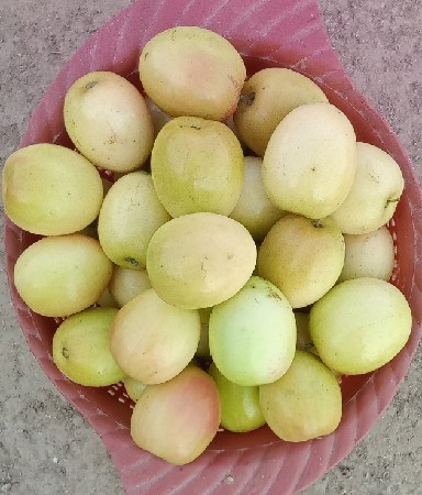 थंबनेल 2