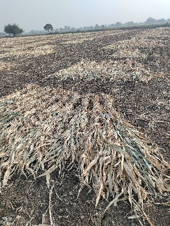 નિરણ વેચવાની છે