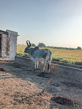 थंबनेल 2