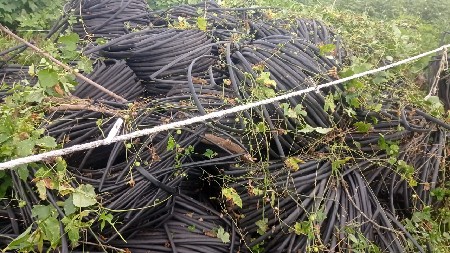 थंबनेल 4