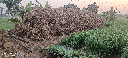 માંડવીયું વેચવાનું છે