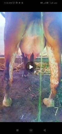 थंबनेल 3