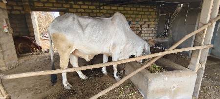 थंबनेल 3