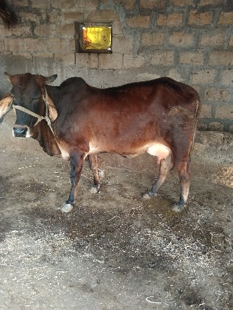 थंबनेल 2