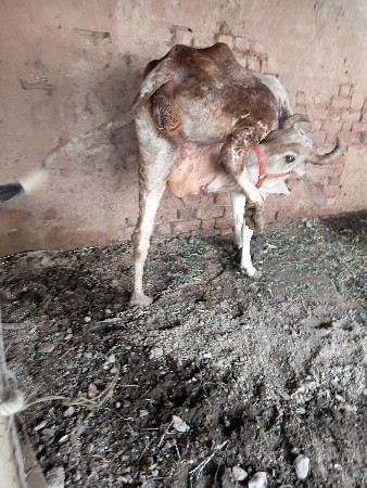 थंबनेल 2