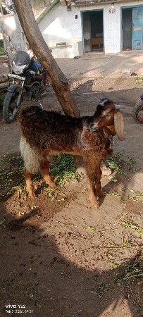 થંબનેલ 3