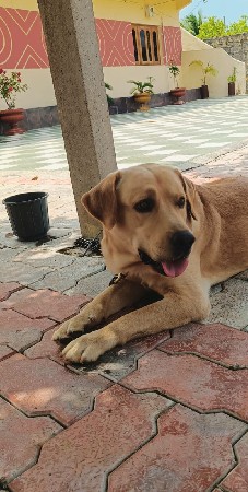 थंबनेल 2