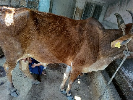 थंबनेल 3