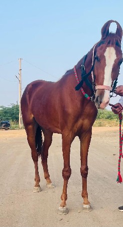 थंबनेल 3