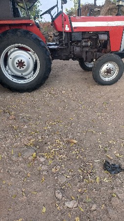 थंबनेल 3