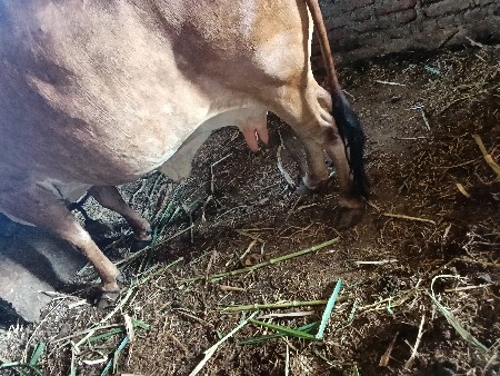 थंबनेल 2