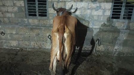 थंबनेल 3