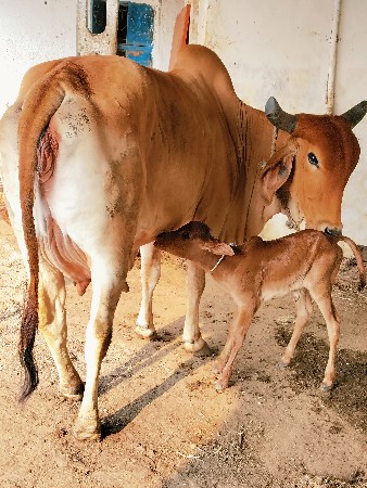 थंबनेल 2