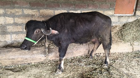 થંબનેલ 2