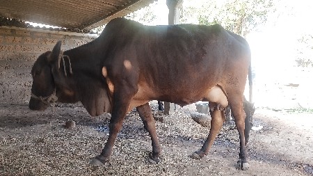 थंबनेल 2