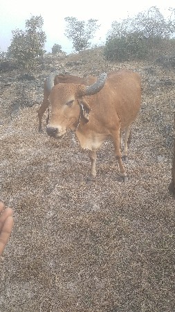 थंबनेल 3