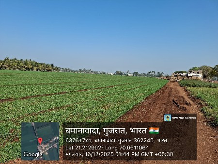 थंबनेल 2