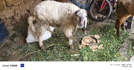 थंबनेल 2