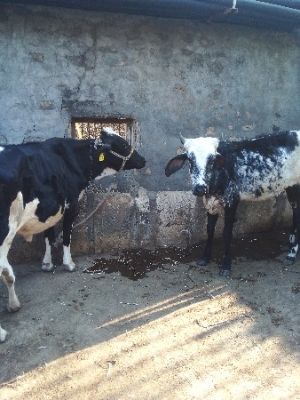 थंबनेल 3