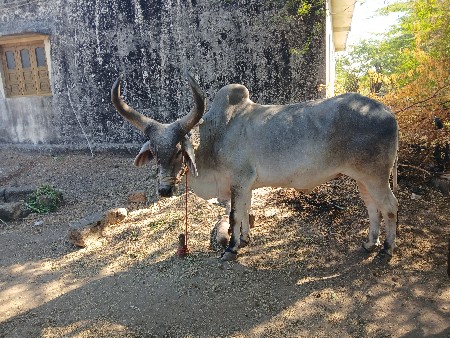 थंबनेल 3