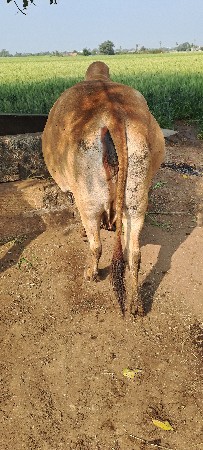 थंबनेल 2