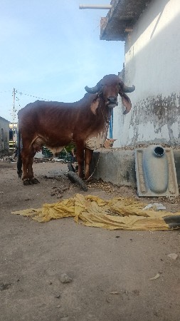 थंबनेल 2