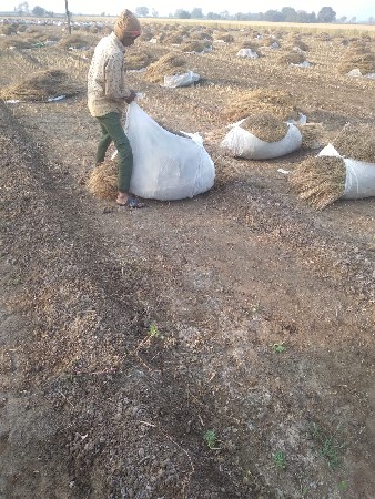 કાપડ ( ત્યાર તરફાર વેચવાના છે. )