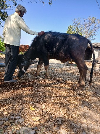 થંબનેલ 2